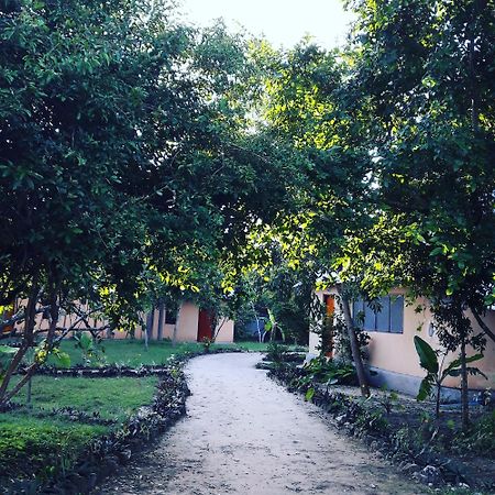 Gecko Nature Lodge Home Of Swahili Divers The Best Dive Center And Famous Gecko Restaurant Verani Екстер'єр фото