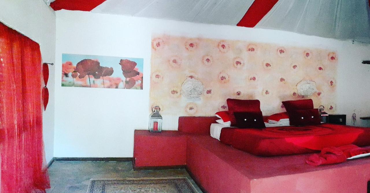 Gecko Nature Lodge Home Of Swahili Divers The Best Dive Center And Famous Gecko Restaurant Verani Екстер'єр фото