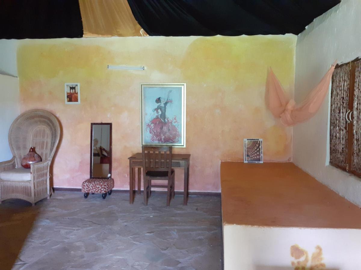 Gecko Nature Lodge Home Of Swahili Divers The Best Dive Center And Famous Gecko Restaurant Verani Екстер'єр фото