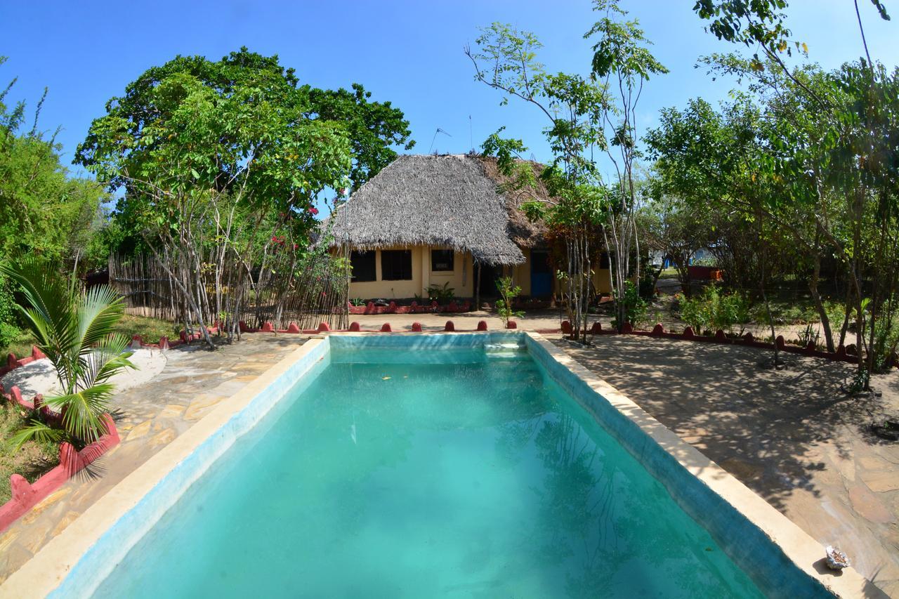 Gecko Nature Lodge Home Of Swahili Divers The Best Dive Center And Famous Gecko Restaurant Verani Екстер'єр фото