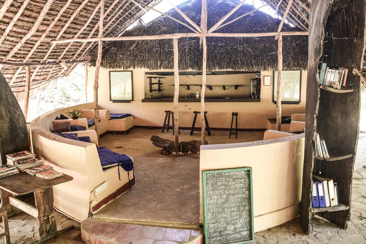 Gecko Nature Lodge Home Of Swahili Divers The Best Dive Center And Famous Gecko Restaurant Verani Екстер'єр фото