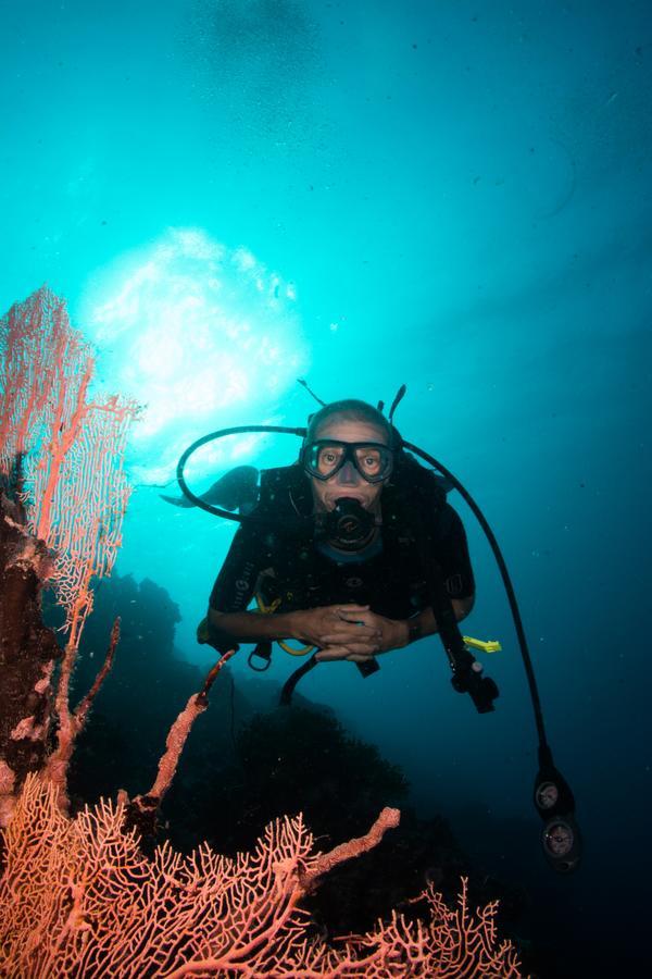Gecko Nature Lodge Home Of Swahili Divers The Best Dive Center And Famous Gecko Restaurant Verani Екстер'єр фото