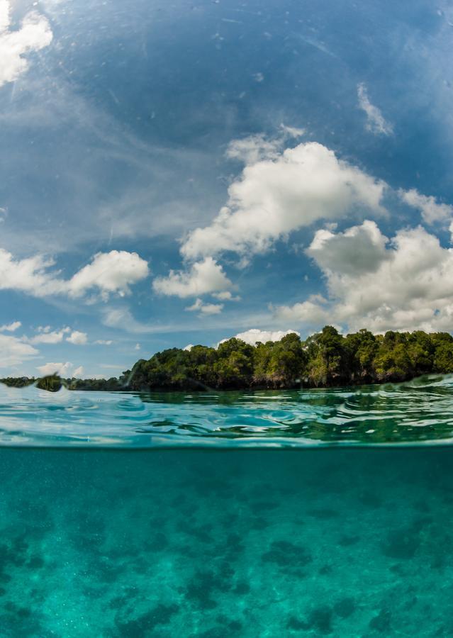 Gecko Nature Lodge Home Of Swahili Divers The Best Dive Center And Famous Gecko Restaurant Verani Екстер'єр фото