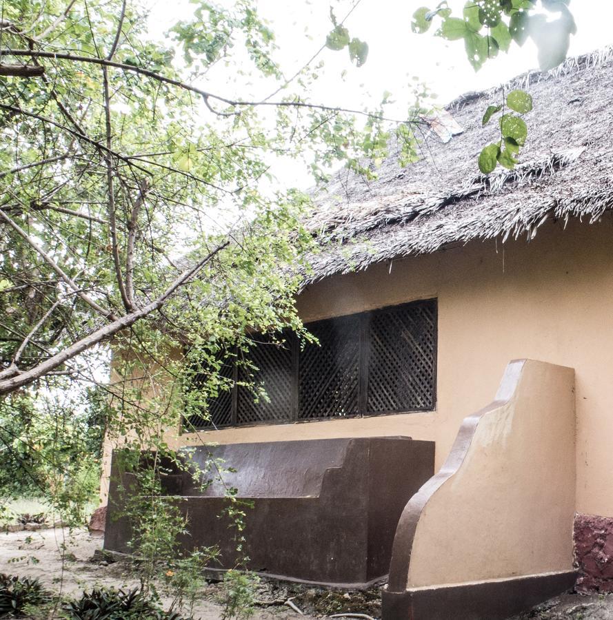 Gecko Nature Lodge Home Of Swahili Divers The Best Dive Center And Famous Gecko Restaurant Verani Екстер'єр фото