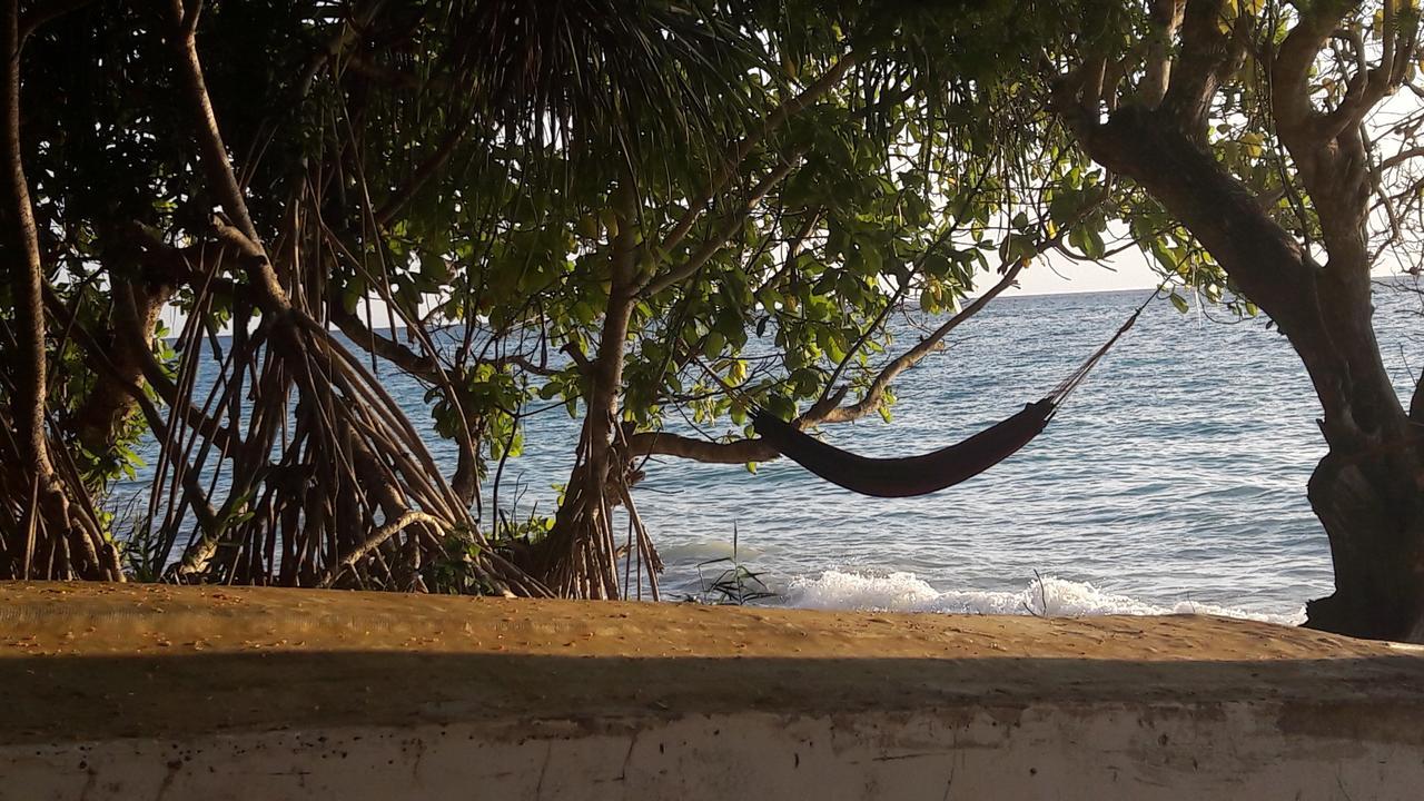 Gecko Nature Lodge Home Of Swahili Divers The Best Dive Center And Famous Gecko Restaurant Verani Екстер'єр фото