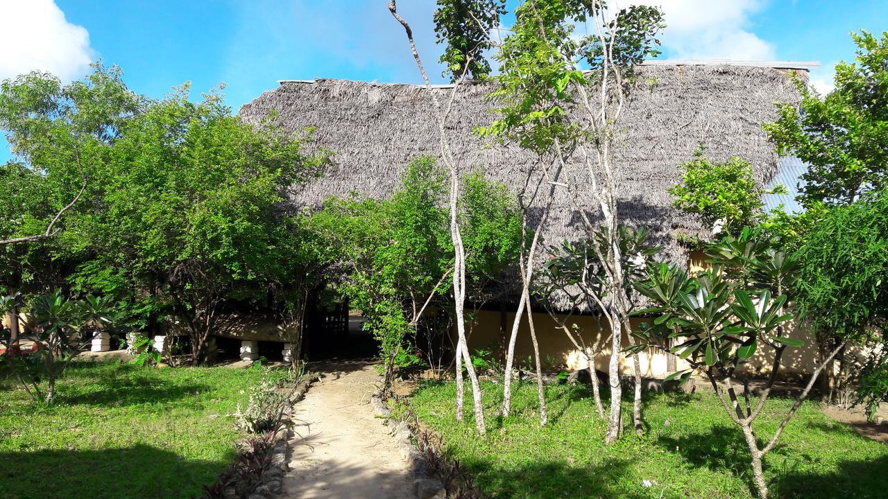 Gecko Nature Lodge Home Of Swahili Divers The Best Dive Center And Famous Gecko Restaurant Verani Екстер'єр фото