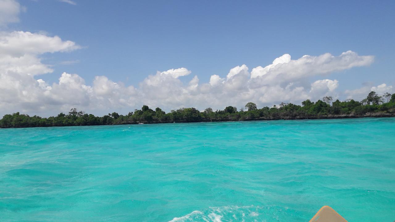 Gecko Nature Lodge Home Of Swahili Divers The Best Dive Center And Famous Gecko Restaurant Verani Екстер'єр фото