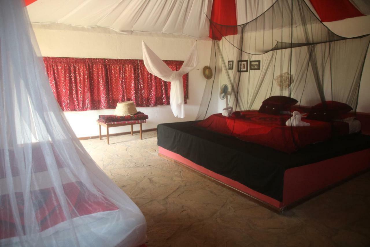 Gecko Nature Lodge Home Of Swahili Divers The Best Dive Center And Famous Gecko Restaurant Verani Екстер'єр фото
